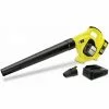 KARCHER Kärcher 36V Batterie LaubbläsersetLBL 4 Set Batterie * -KARCHER Soldes 43919744 1